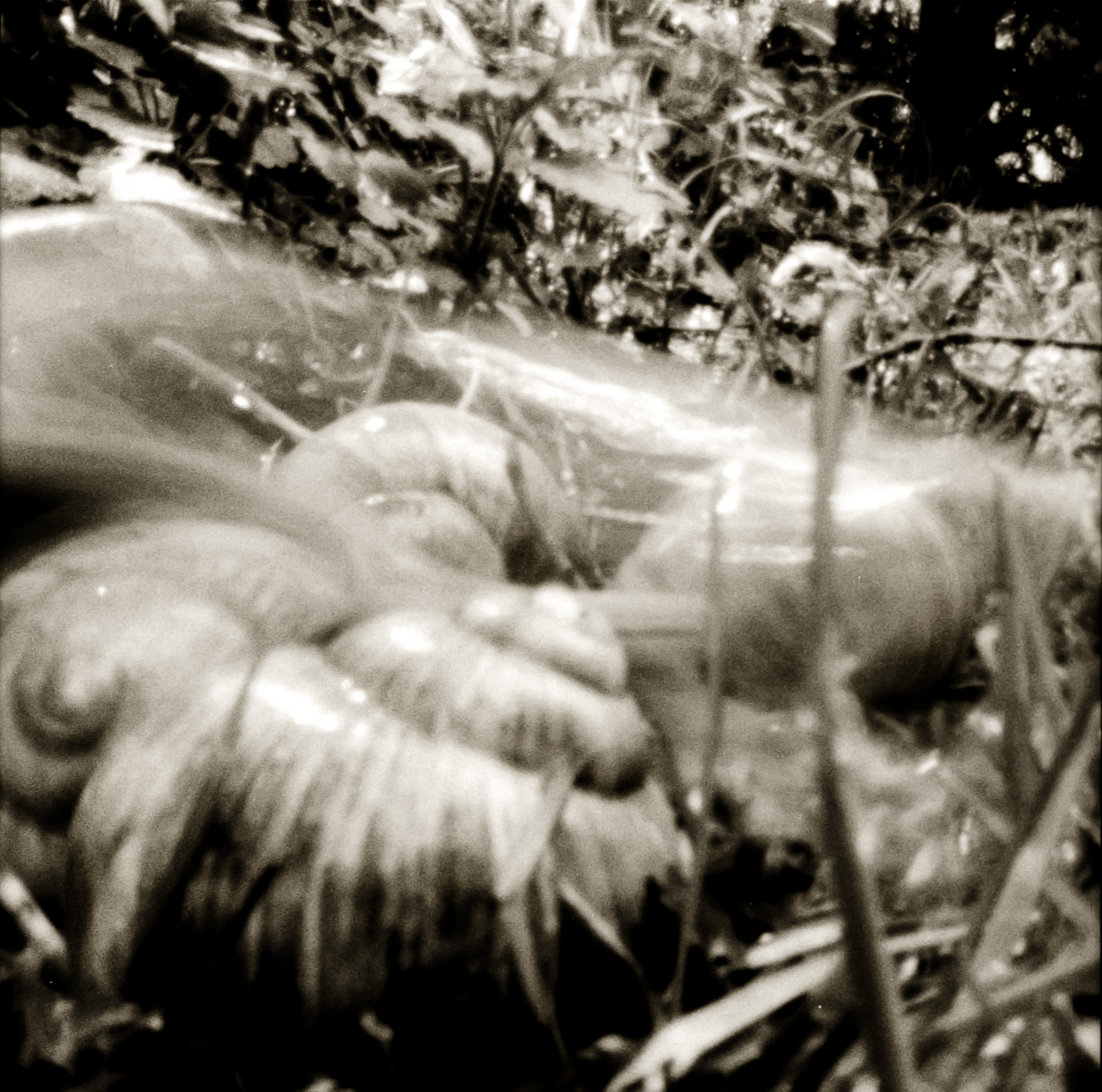 Und sie bewegt sich doch I