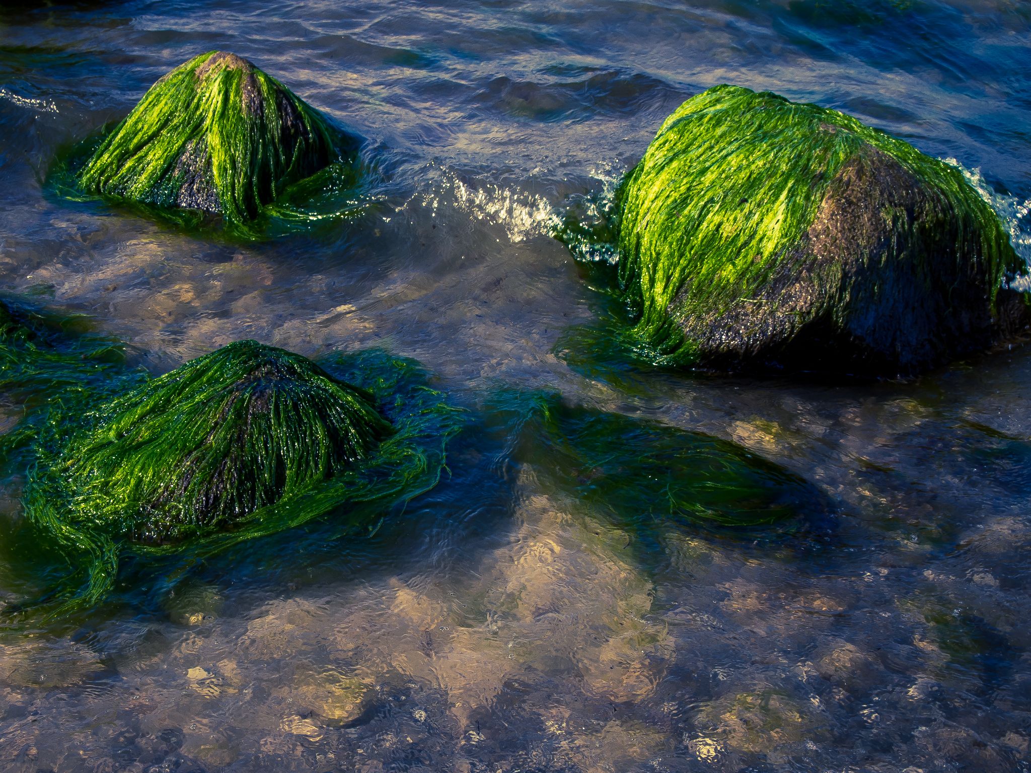 Steine mit Gründer Frisur