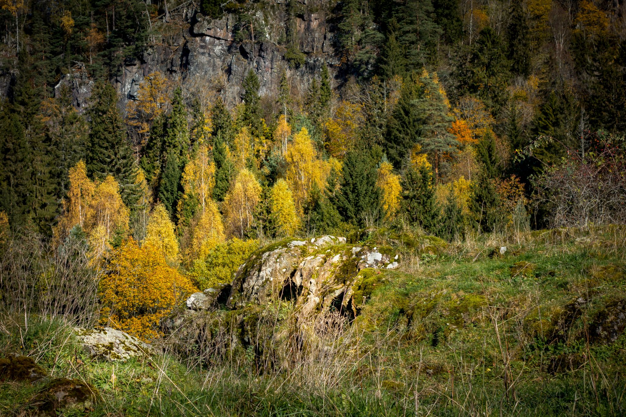 Indian Summer in Norwegen