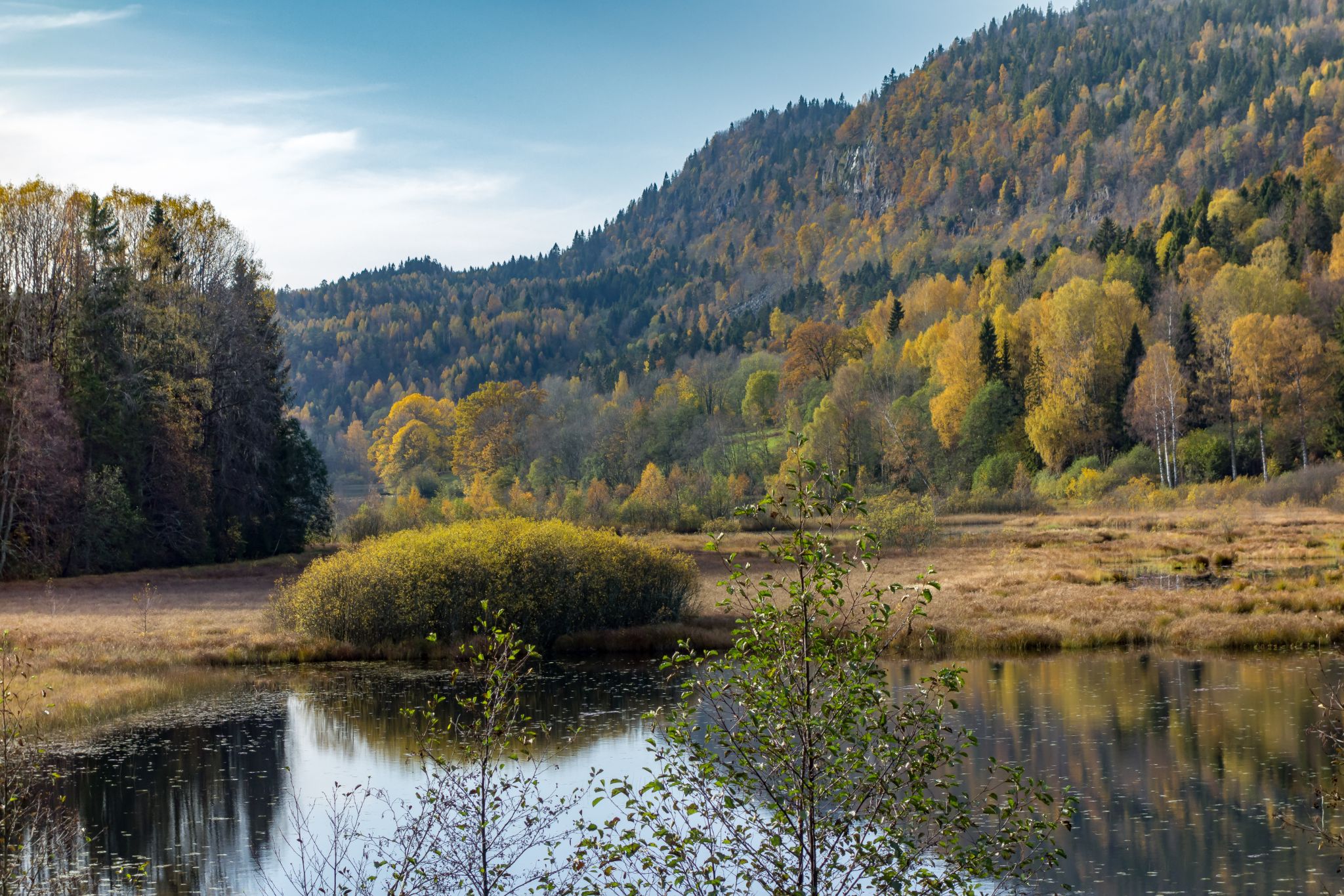Herbstlandschaft an unbekanntem See IV