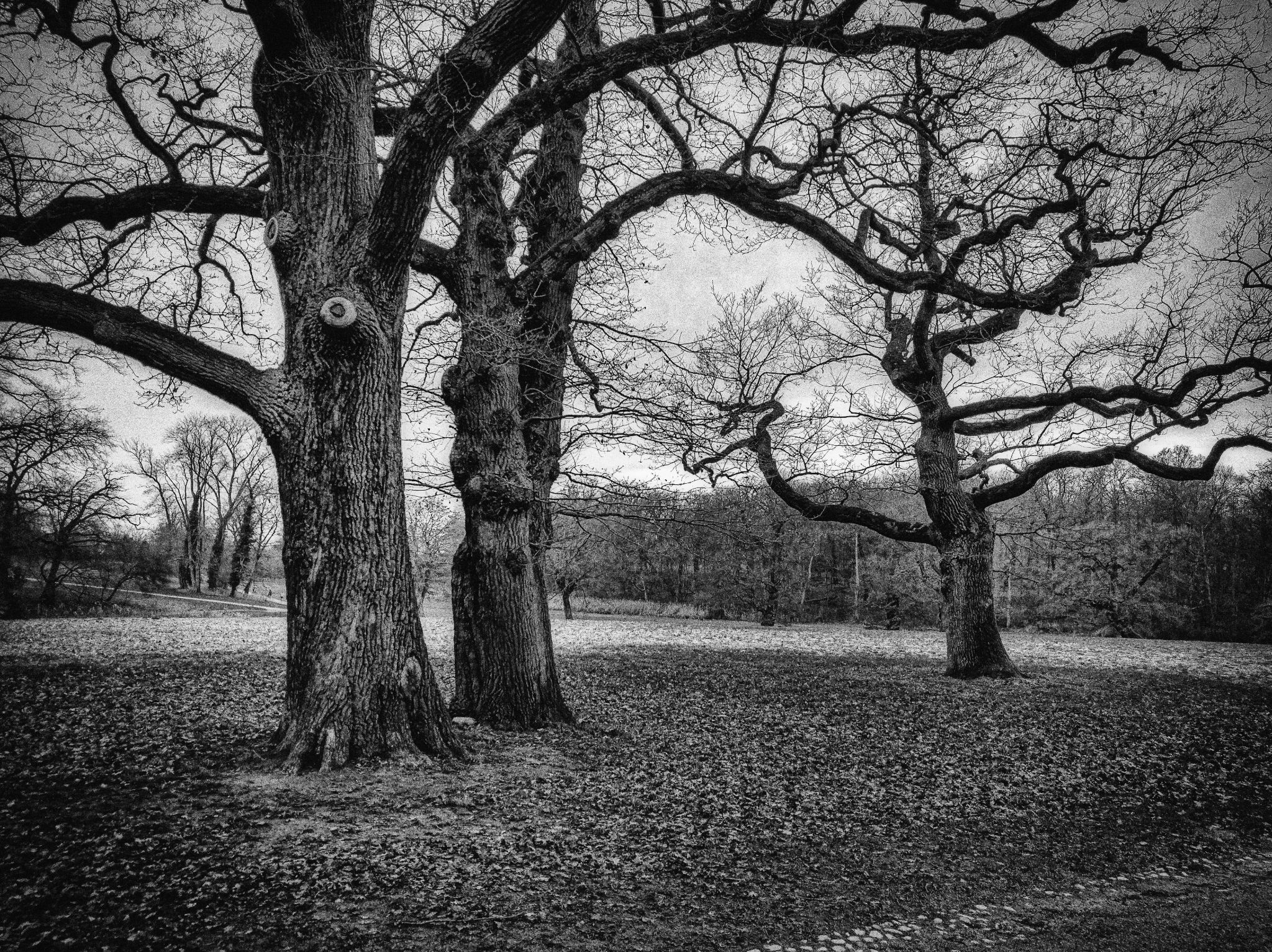 Zwischen den Jahren I