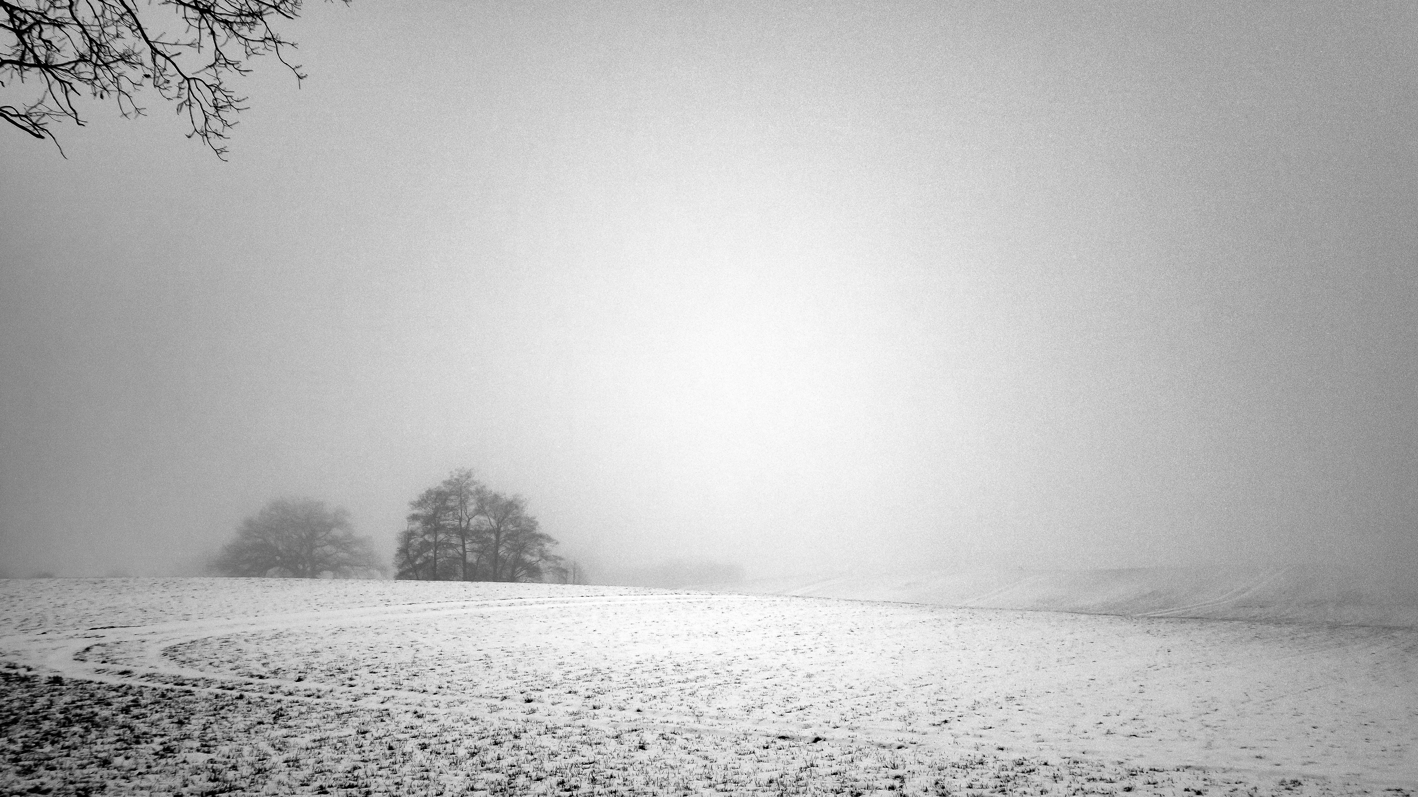 Nebliger Tag im Februar