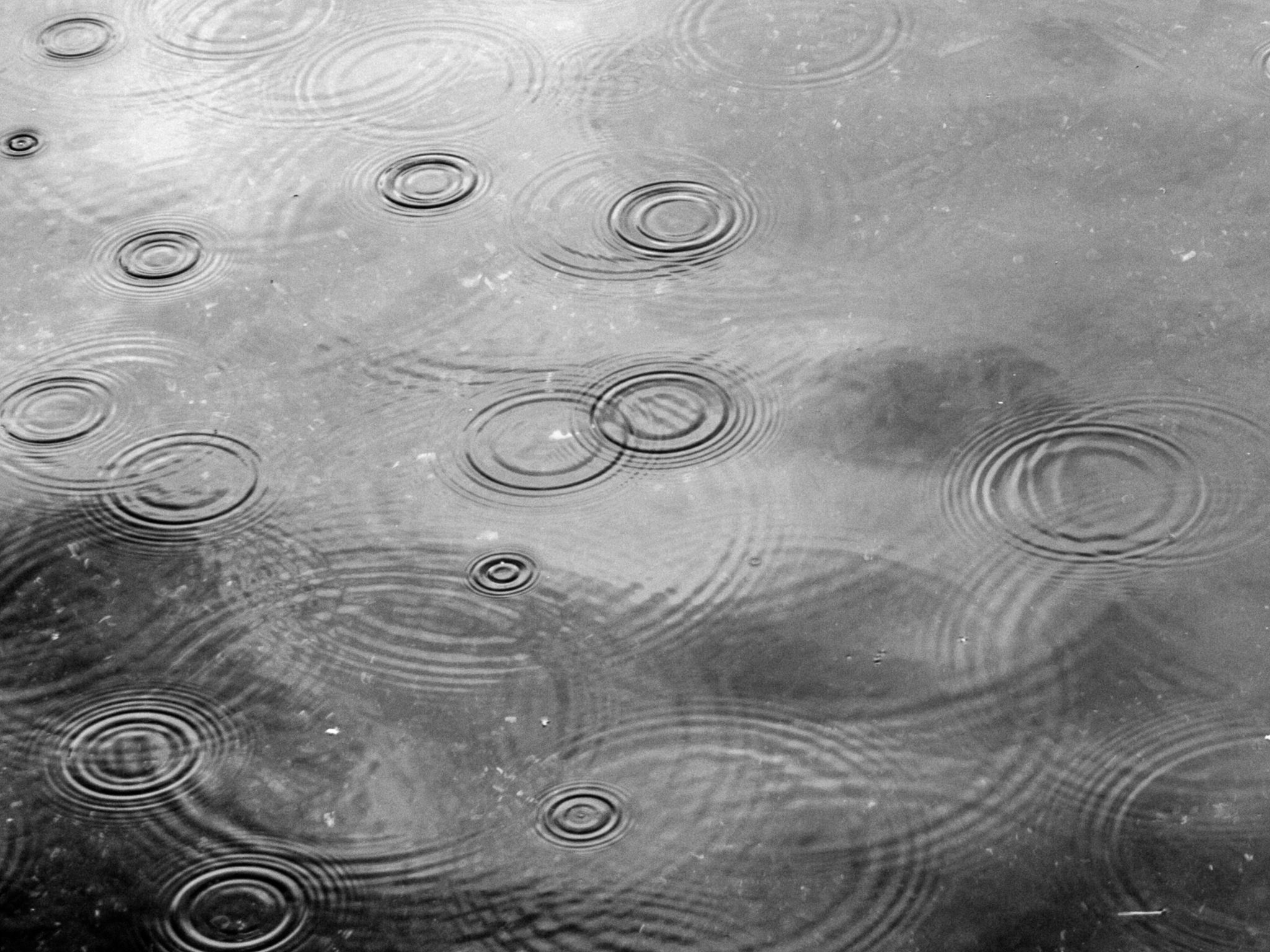 Raindrops